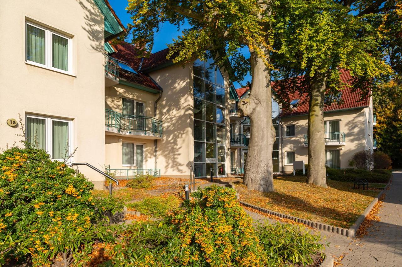Apartment Ostseerose Ein Strandkorb Ist Im Sommer Inclusive Zempin Zewnętrze zdjęcie