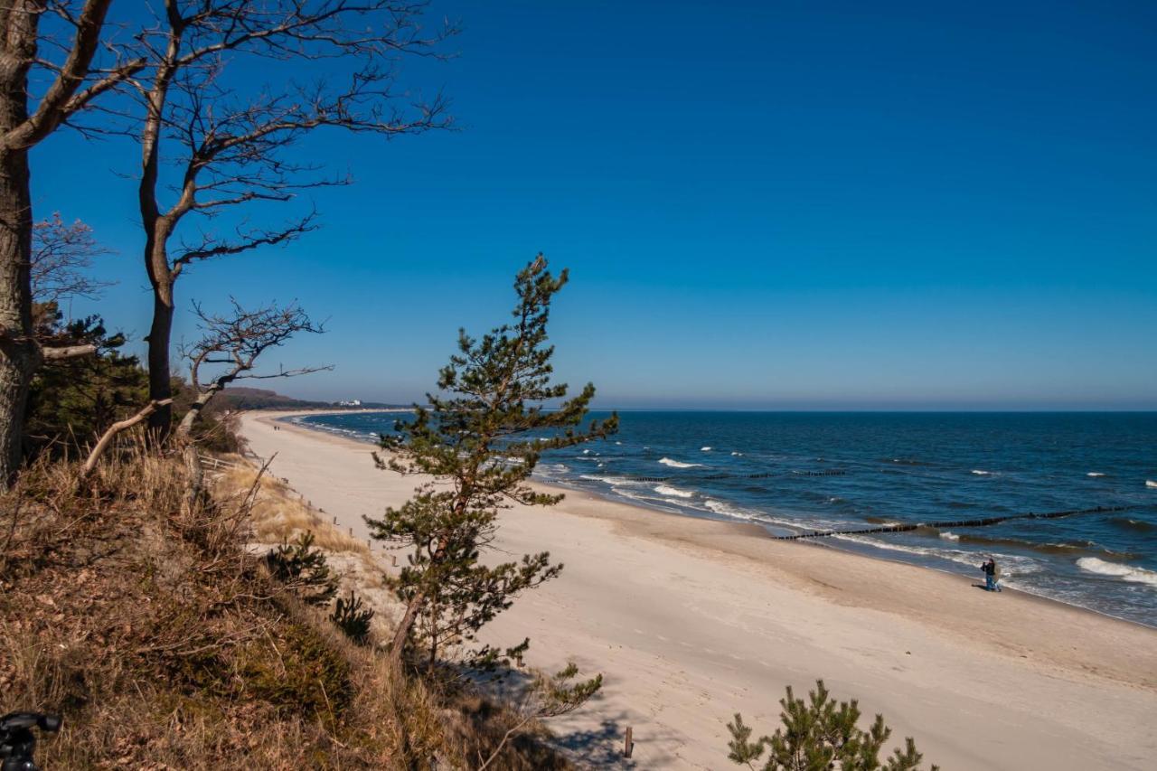 Apartment Ostseerose Ein Strandkorb Ist Im Sommer Inclusive Zempin Zewnętrze zdjęcie